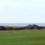 Sea View House